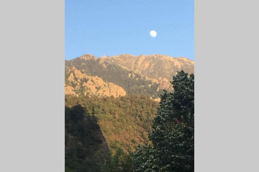 Les Lavandieres Vernet-les-Bains Exteriér fotografie